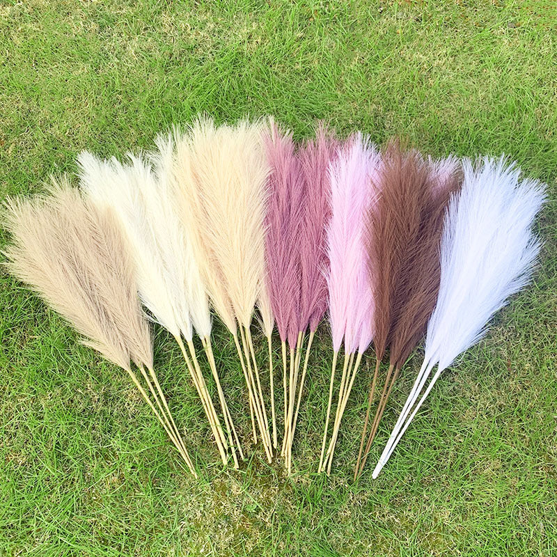 Assorted colored pampas grass for wedding decorations.